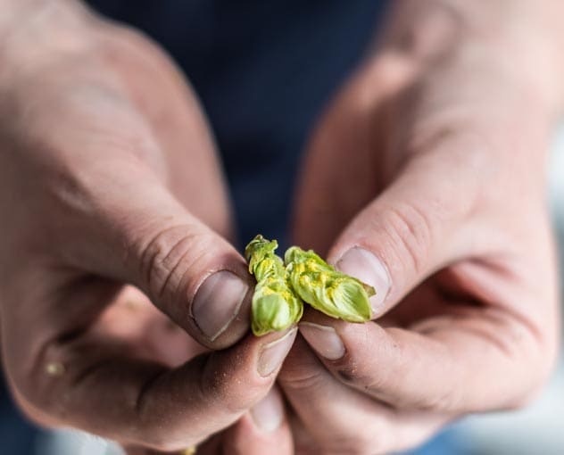 Brewing Expertise Rooted in Tradition and Innovation
