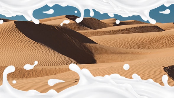 Proyecto pionero: producción de leche en Mauritania