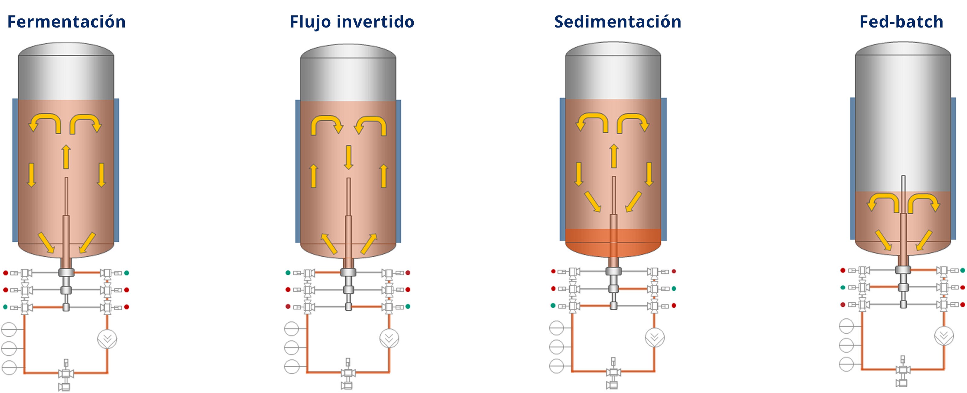 Pasos del proceso