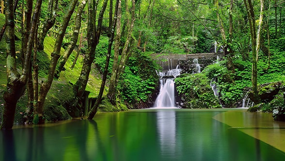 Agua de manantial – producida naturalmente, embotellada con consumo eficiente de energía