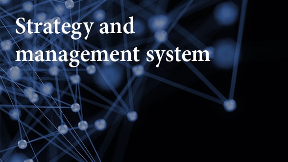 Strategy and management system